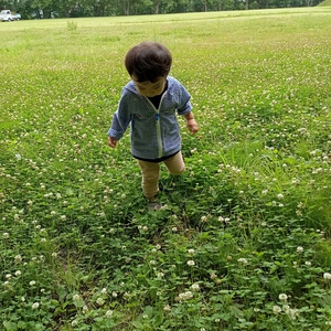 暑中お見舞い申し上げます