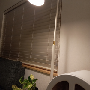 お身体メンテナンスが大事です