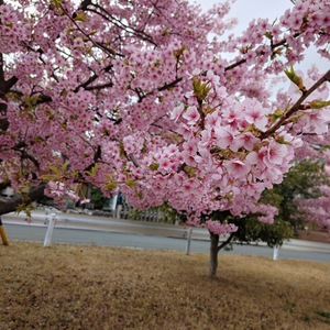 お久しぶりのお客様